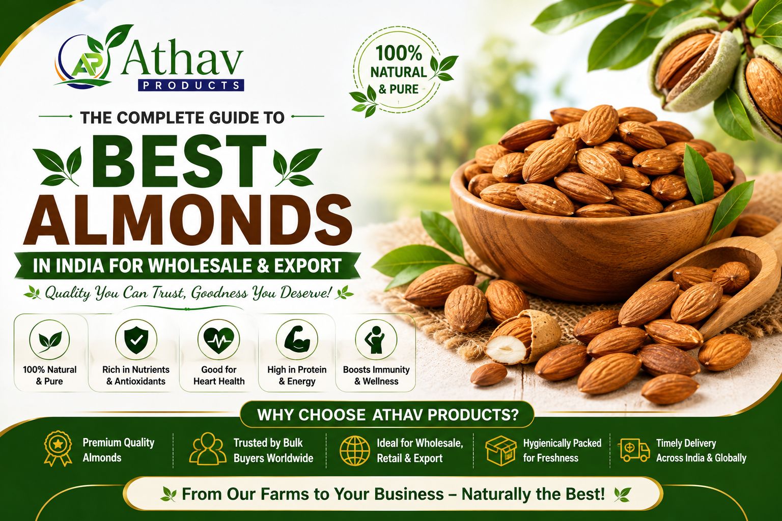 Best Almonds in India for Wholesale and Export Complete Guide